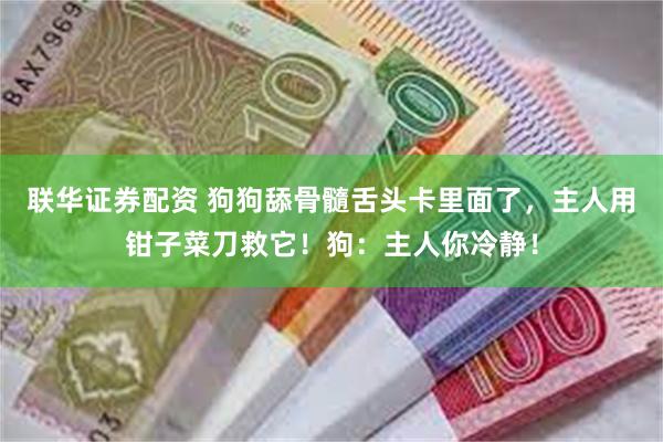 联华证券配资 狗狗舔骨髓舌头卡里面了，主人用钳子菜刀救它！狗：主人你冷静！