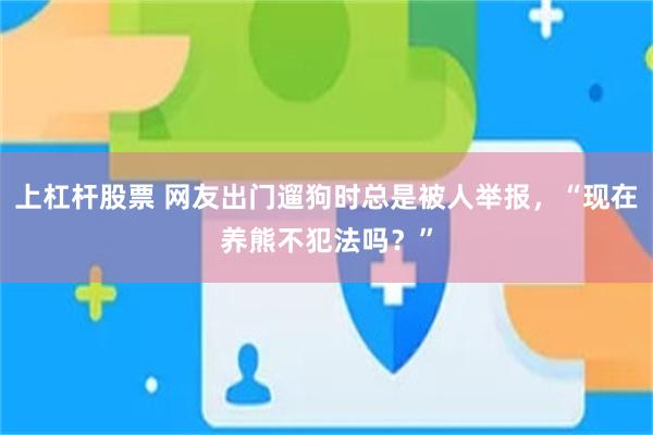 上杠杆股票 网友出门遛狗时总是被人举报，“现在养熊不犯法吗？”