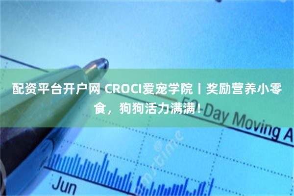 配资平台开户网 CROCI爱宠学院丨奖励营养小零食，狗狗活力满满！