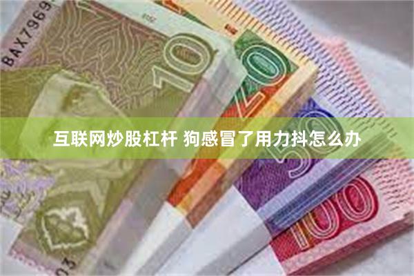 互联网炒股杠杆 狗感冒了用力抖怎么办