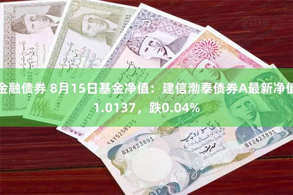 金融债券 8月15日基金净值：建信渤泰债券A最新净值1.0137，跌0.04%