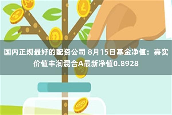国内正规最好的配资公司 8月15日基金净值：嘉实价值丰润混合A最新净值0.8928