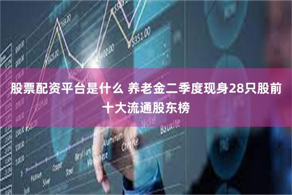 股票配资平台是什么 养老金二季度现身28只股前十大流通股东榜