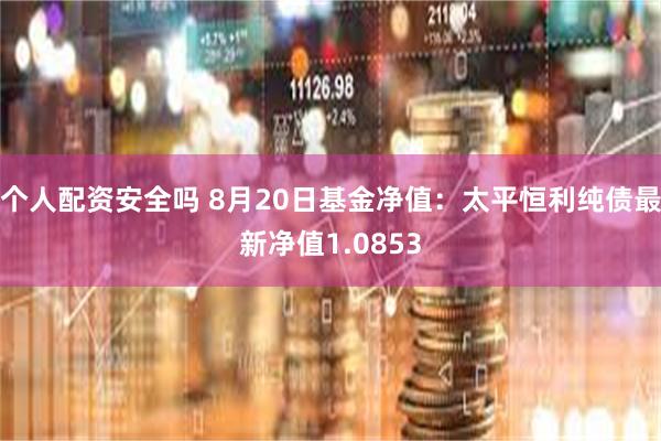 个人配资安全吗 8月20日基金净值：太平恒利纯债最新净值1.0853