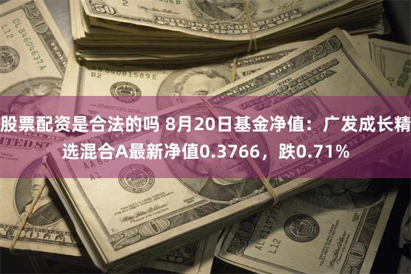 股票配资是合法的吗 8月20日基金净值：广发成长精选混合A最新净值0.3766，跌0.71%