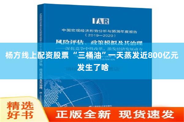 杨方线上配资股票 “三桶油”一天蒸发近800亿元 发生了啥