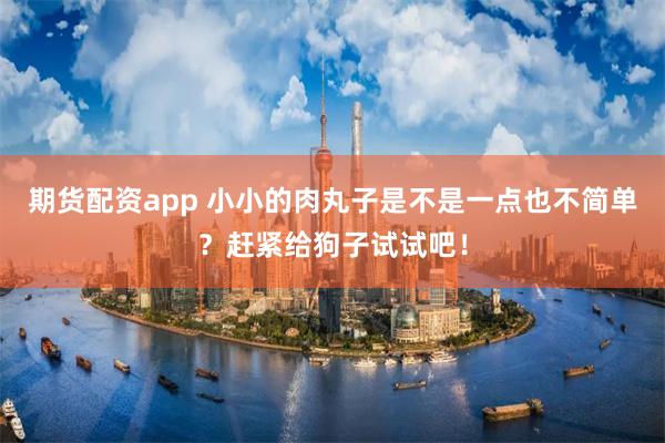 期货配资app 小小的肉丸子是不是一点也不简单？赶紧给狗子试试吧！