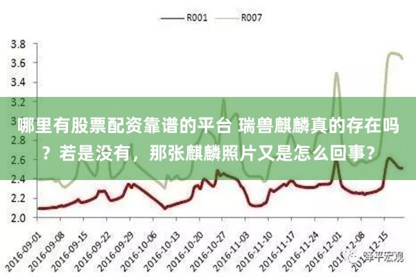 哪里有股票配资靠谱的平台 瑞兽麒麟真的存在吗？若是没有，那张麒麟照片又是怎么回事？