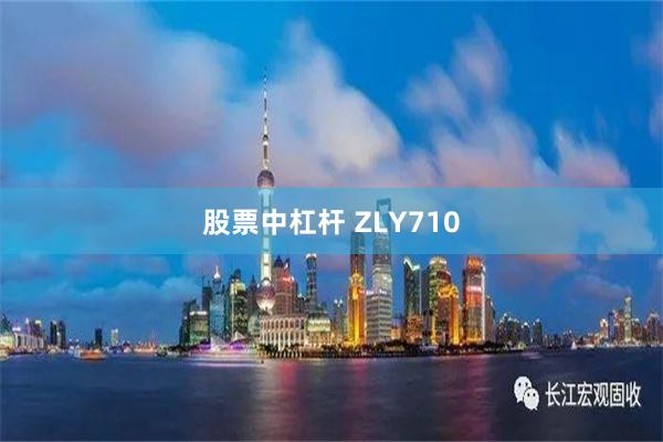 股票中杠杆 ZLY710
