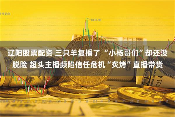 辽阳股票配资 三只羊复播了 “小杨哥们”却还没脱险 超头主播频陷信任危机“炙烤”直播带货