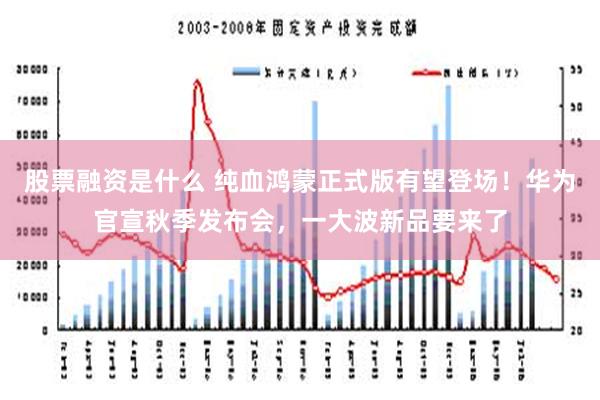 股票融资是什么 纯血鸿蒙正式版有望登场！华为官宣秋季发布会，一大波新品要来了