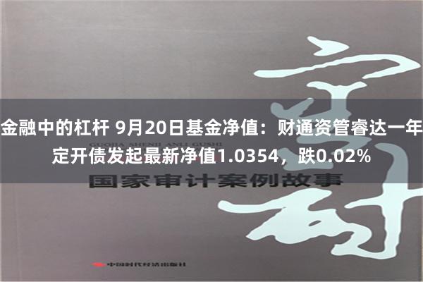 金融中的杠杆 9月20日基金净值：财通资管睿达一年定开债发起最新净值1.0354，跌0.02%
