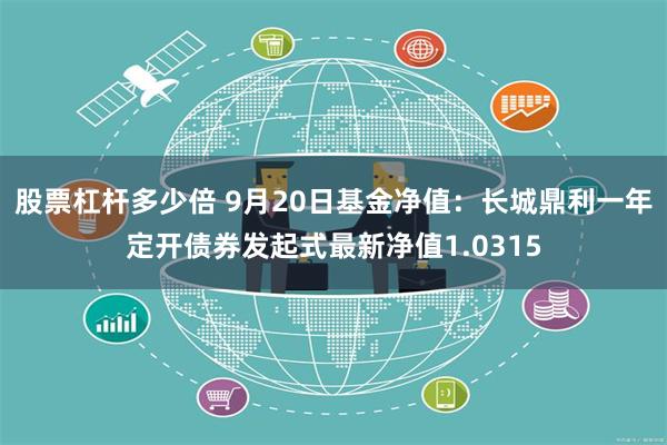 股票杠杆多少倍 9月20日基金净值：长城鼎利一年定开债券发起式最新净值1.0315