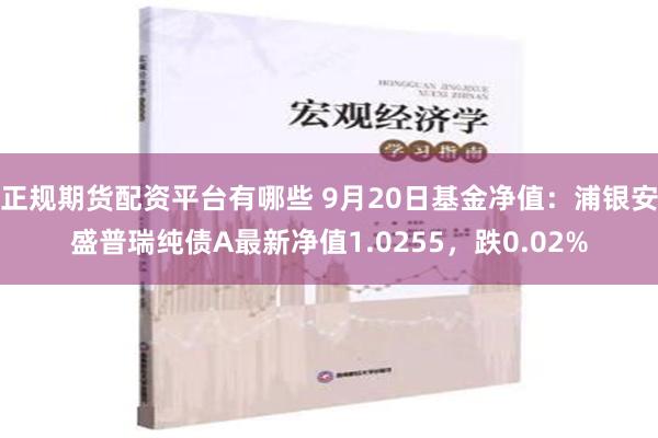 正规期货配资平台有哪些 9月20日基金净值：浦银安盛普瑞纯债A最新净值1.0255，跌0.02%