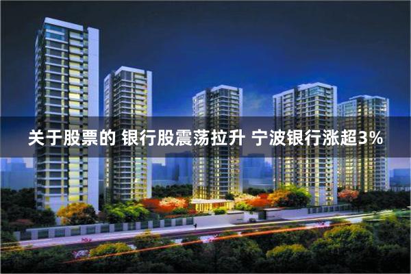 关于股票的 银行股震荡拉升 宁波银行涨超3%