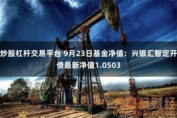 炒股杠杆交易平台 9月23日基金净值：兴银汇智定开债最新净值1.0503