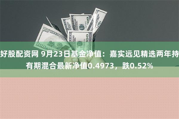 好股配资网 9月23日基金净值：嘉实远见精选两年持有期混合最新净值0.4973，跌0.52%