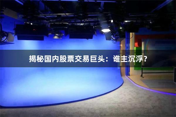 揭秘国内股票交易巨头：谁主沉浮？