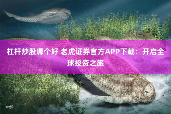 杠杆炒股哪个好 老虎证券官方APP下载：开启全球投资之旅