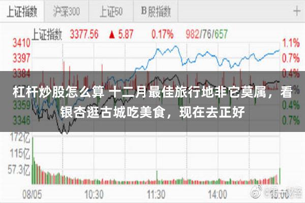 杠杆炒股怎么算 十二月最佳旅行地非它莫属，看银杏逛古城吃美食，现在去正好