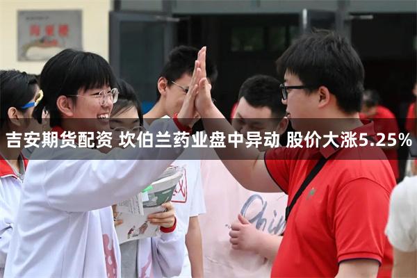 吉安期货配资 坎伯兰药业盘中异动 股价大涨5.25%