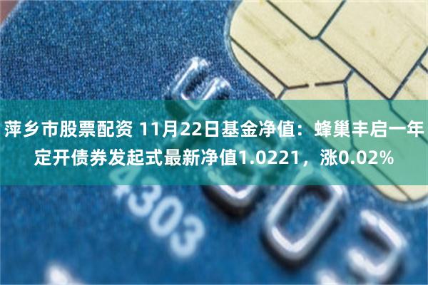 萍乡市股票配资 11月22日基金净值：蜂巢丰启一年定开债券发起式最新净值1.0221，涨0.02%