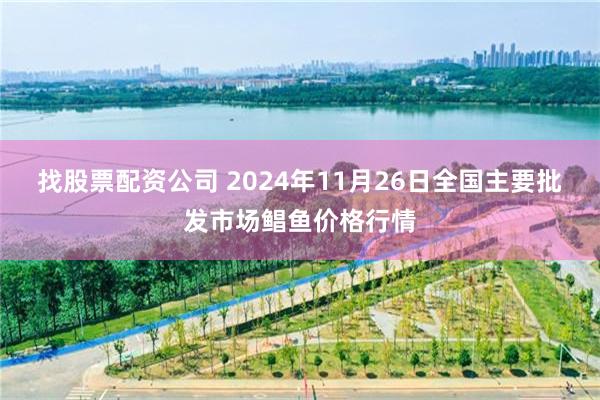 找股票配资公司 2024年11月26日全国主要批发市场鲳鱼价格行情
