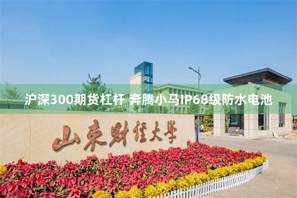 沪深300期货杠杆 奔腾小马IP68级防水电池