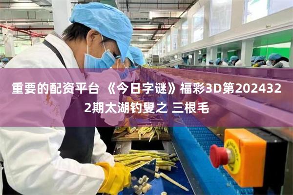 重要的配资平台 《今日字谜》福彩3D第2024322期太湖钓叟之 三根毛