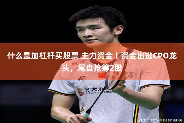什么是加杠杆买股票 主力资金丨资金出逃CPO龙头，尾盘抢筹2股