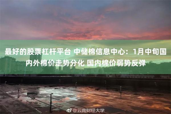 最好的股票杠杆平台 中储棉信息中心：1月中旬国内外棉价走势分化 国内棉价弱势反弹