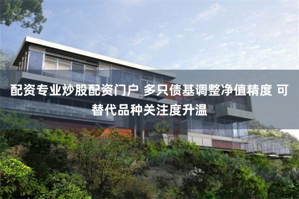 配资专业炒股配资门户 多只债基调整净值精度 可替代品种关注度升温