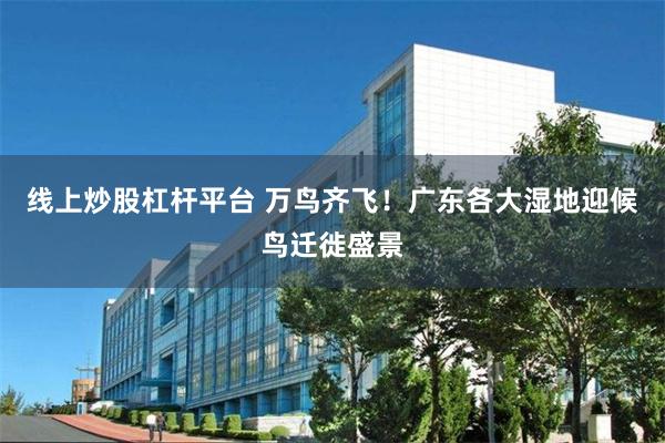 线上炒股杠杆平台 万鸟齐飞！广东各大湿地迎候鸟迁徙盛景