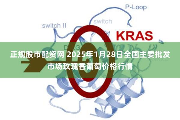 正规股市配资网 2025年1月28日全国主要批发市场玫瑰香葡萄价格行情
