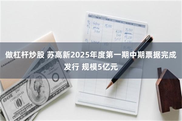 做杠杆炒股 苏高新2025年度第一期中期票据完成发行 规模5亿元