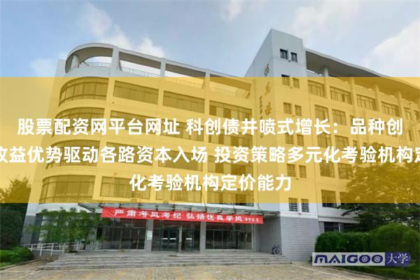 股票配资网平台网址 科创债井喷式增长：品种创新叠加收益优势驱动各路资本入场 投资策略多元化考验机构定价能力