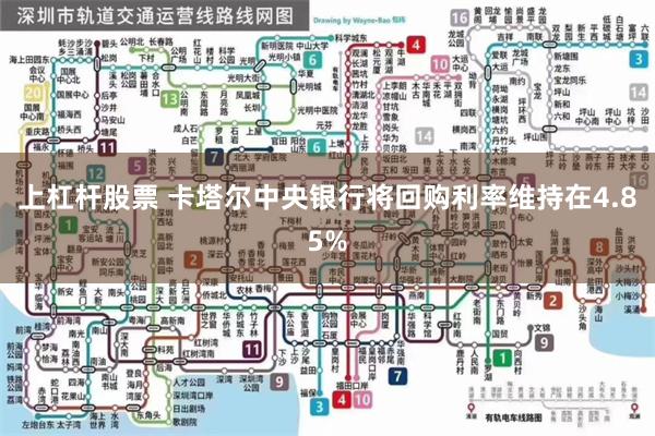 上杠杆股票 卡塔尔中央银行将回购利率维持在4.85%