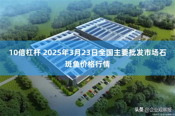 10倍杠杆 2025年3月23日全国主要批发市场石斑鱼价格行情