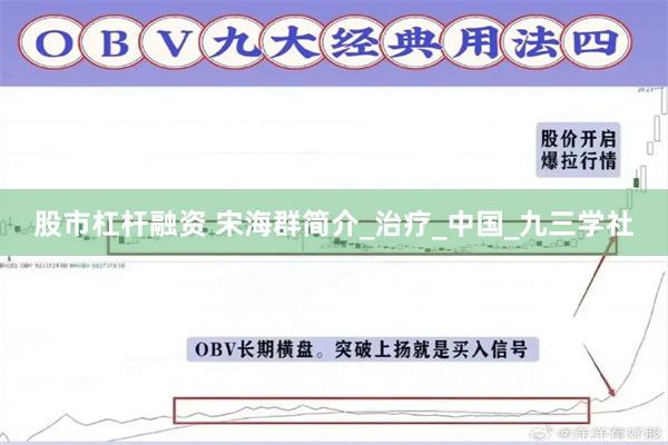 股市杠杆融资 宋海群简介_治疗_中国_九三学社