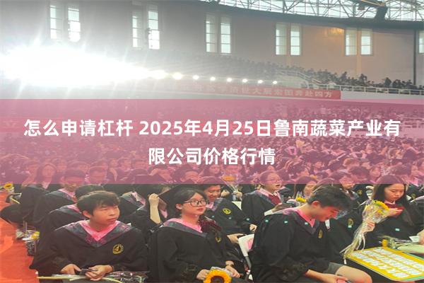 怎么申请杠杆 2025年4月25日鲁南蔬菜产业有限公司价格行情