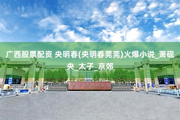 广西股票配资 央明春(央明春莞莞)火爆小说_萧砚央_太子_京郊
