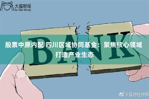 股票中原内配 四川区域协同基金：聚焦核心领域 打造产业生态