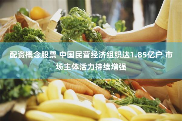 配资概念股票 中国民营经济组织达1.85亿户 市场主体活力持续增强