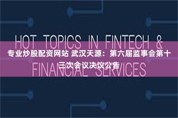 专业炒股配资网站 武汉天源：第六届监事会第十三次会议决议公告