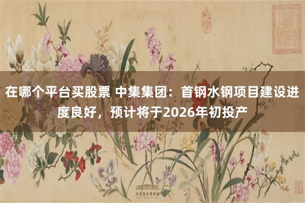 在哪个平台买股票 中集集团：首钢水钢项目建设进度良好，预计将于2026年初投产