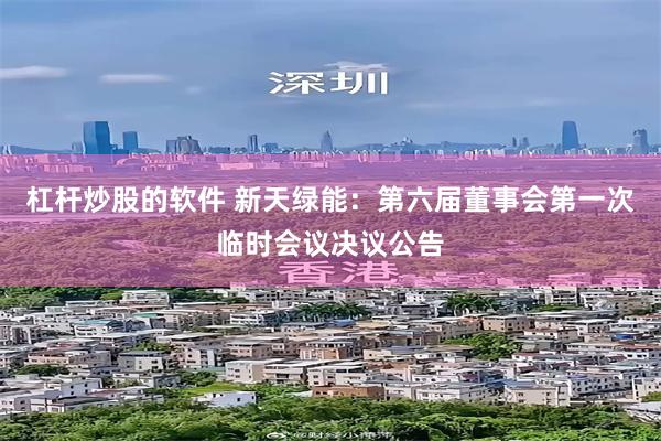 杠杆炒股的软件 新天绿能：第六届董事会第一次临时会议决议公告