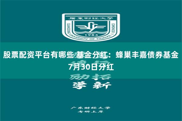 股票配资平台有哪些 基金分红：蜂巢丰嘉债券基金7月30日分红