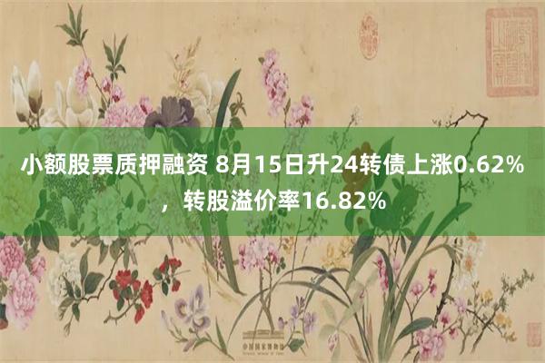 小额股票质押融资 8月15日升24转债上涨0.62%，转股溢价率16.82%